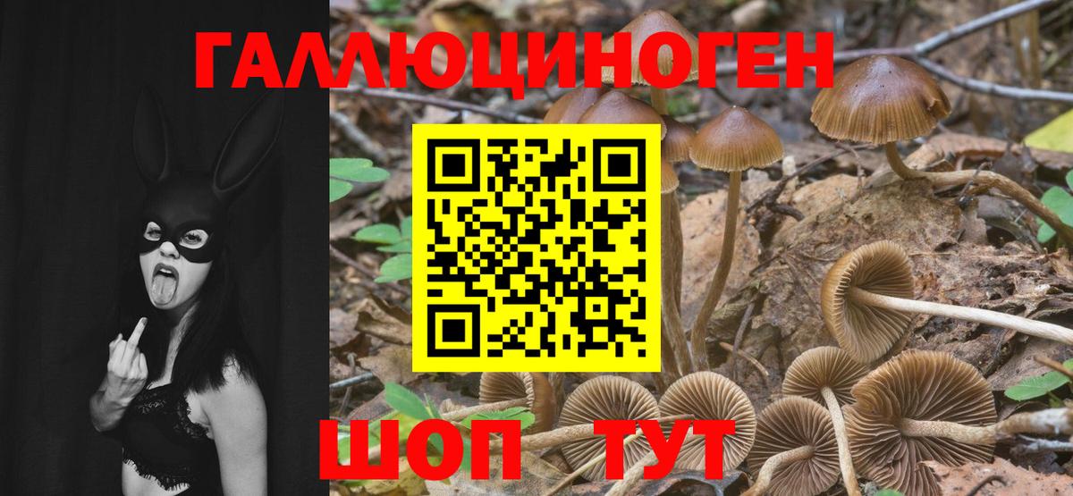 Галлюциногенные грибы GOLDEN TEACHER Кушва