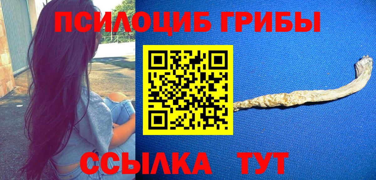 Кушва  Галлюциногенные грибы GOLDEN TEACHER  Вход с VPN 