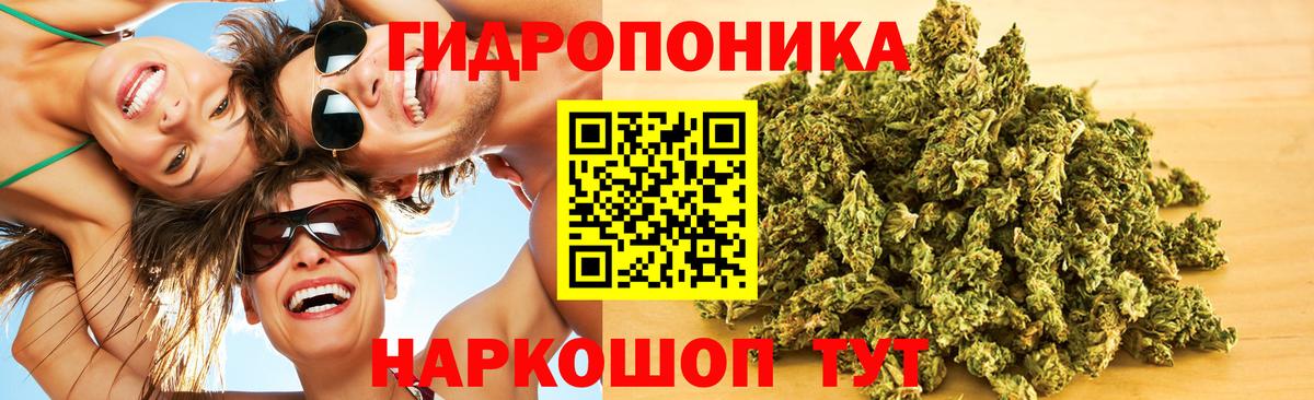 Шишки марихуана индика Кушва
